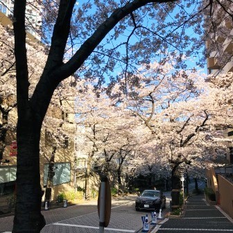 f:id:andy-e49er:20210326073256j:plain