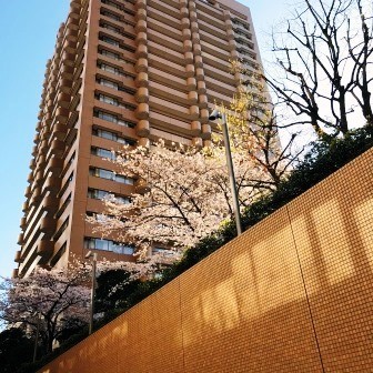 f:id:andy-e49er:20210326073318j:plain