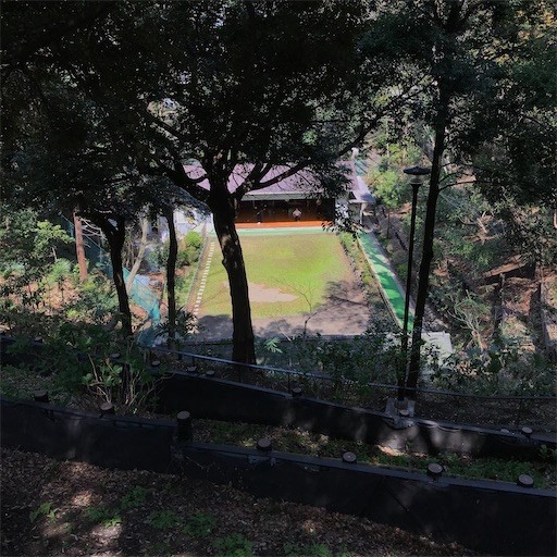 f:id:andy-e49er:20210327172325j:image