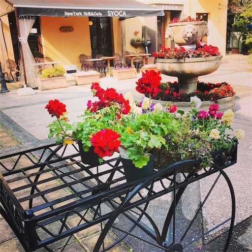 f:id:andy-e49er:20210813140431j:image f:id:andy-e49er:20210813140431j:image