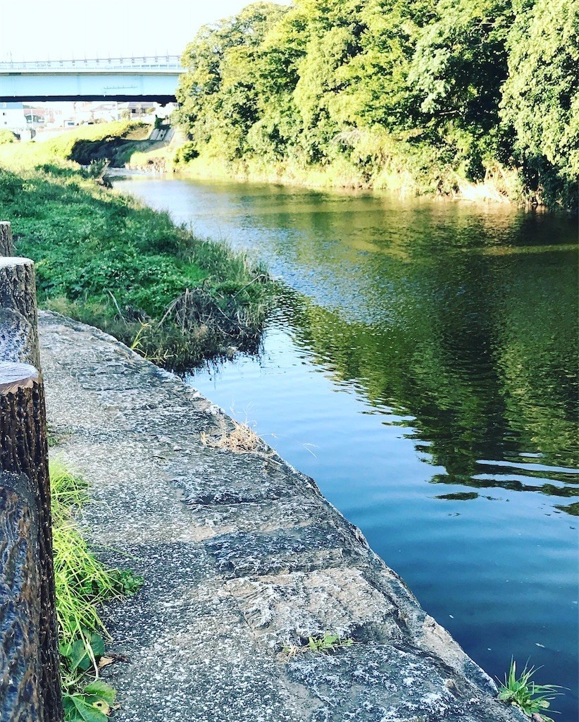 f:id:andy-e49er:20211115072030j:image