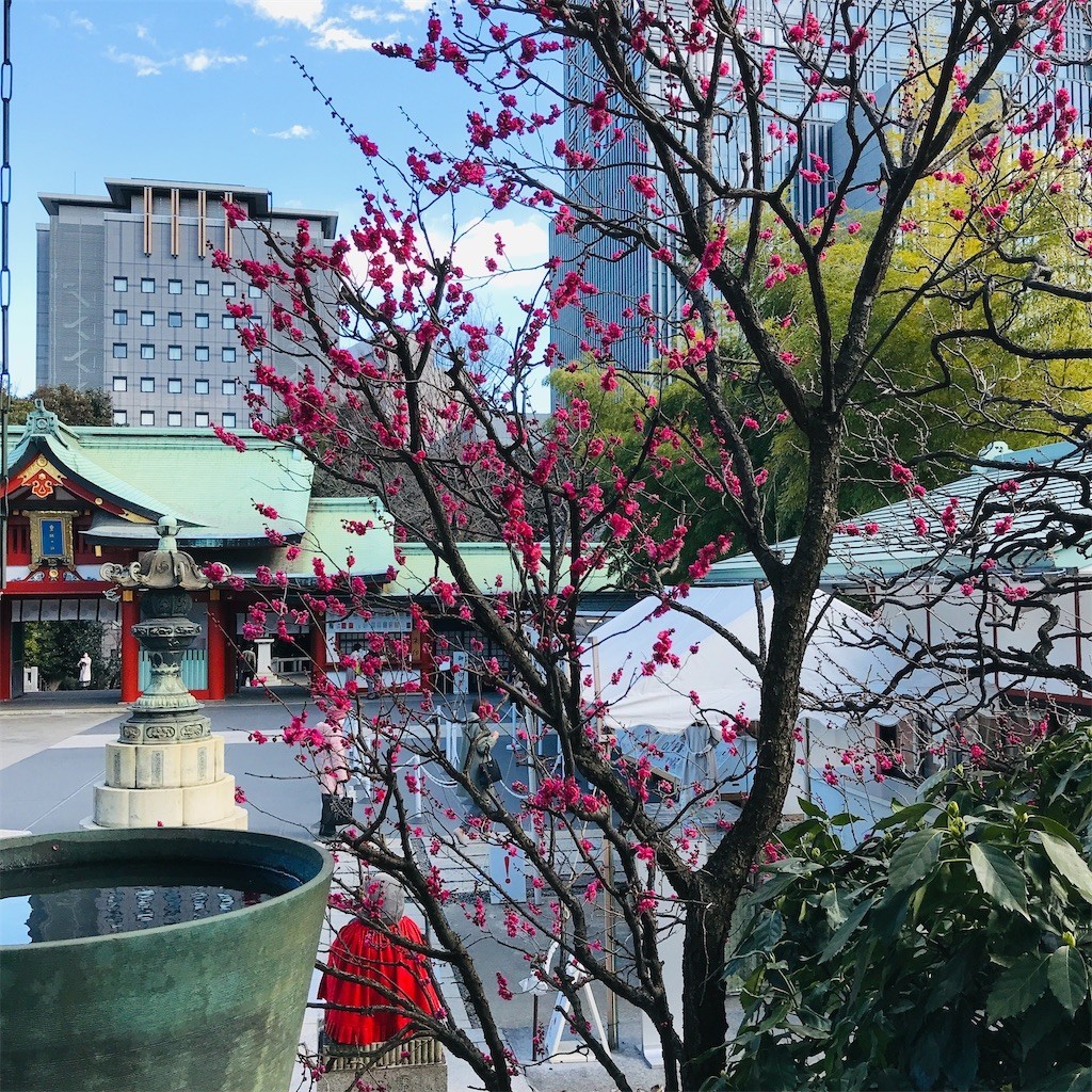 f:id:andy-e49er:20220221151343j:image