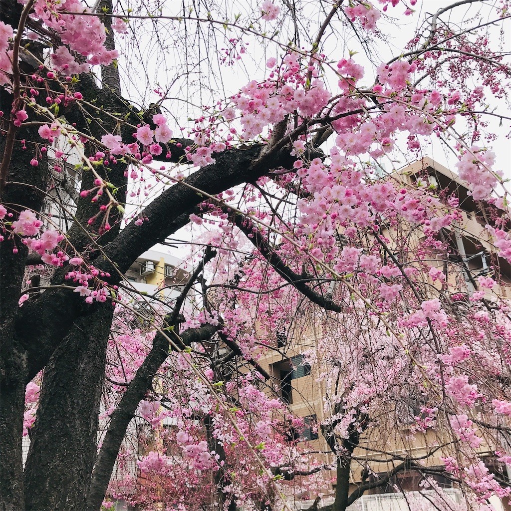 f:id:andy-e49er:20220327150416j:image