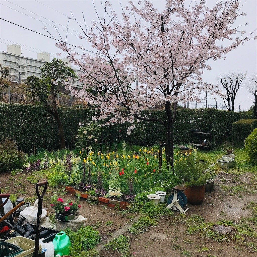 f:id:andy-e49er:20220404175745j:image