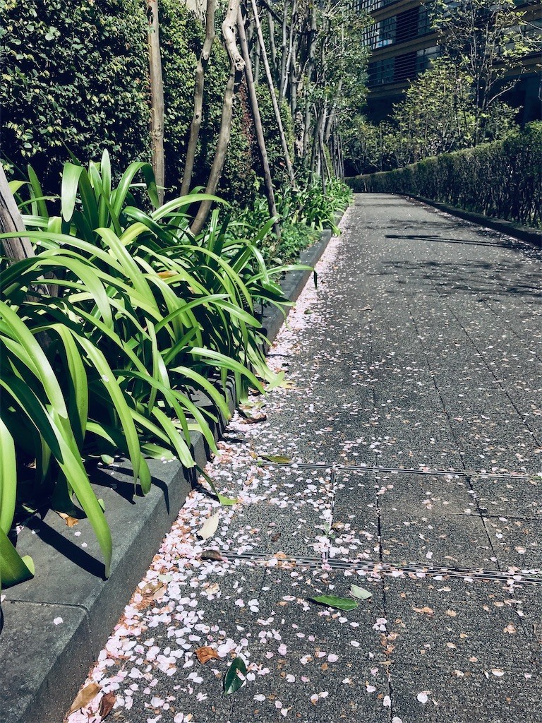 f:id:andy-e49er:20220406163931j:image