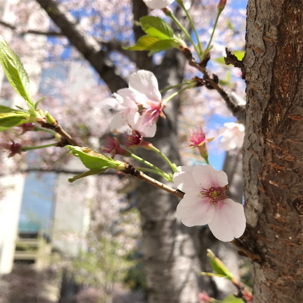 f:id:andy-e49er:20220406163934j:image