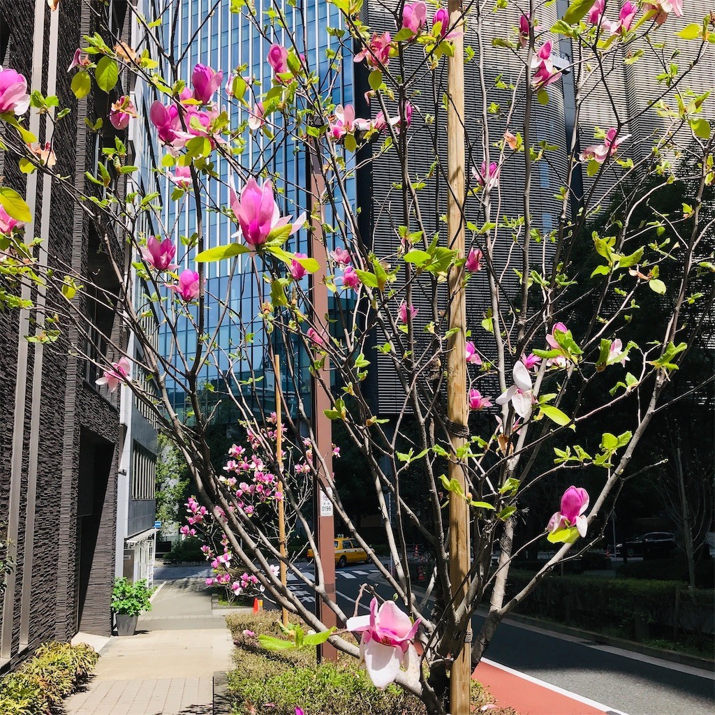 f:id:andy-e49er:20220413065437j:image f:id:andy-e49er:20220413065437j:image