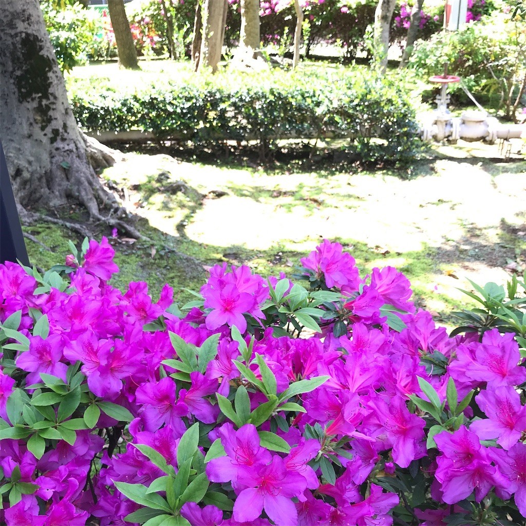 f:id:andy-e49er:20220501234222j:image