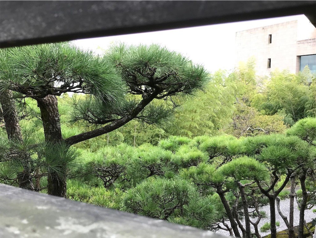 f:id:andy-e49er:20221015231901j:image f:id:andy-e49er:20221015231901j:image