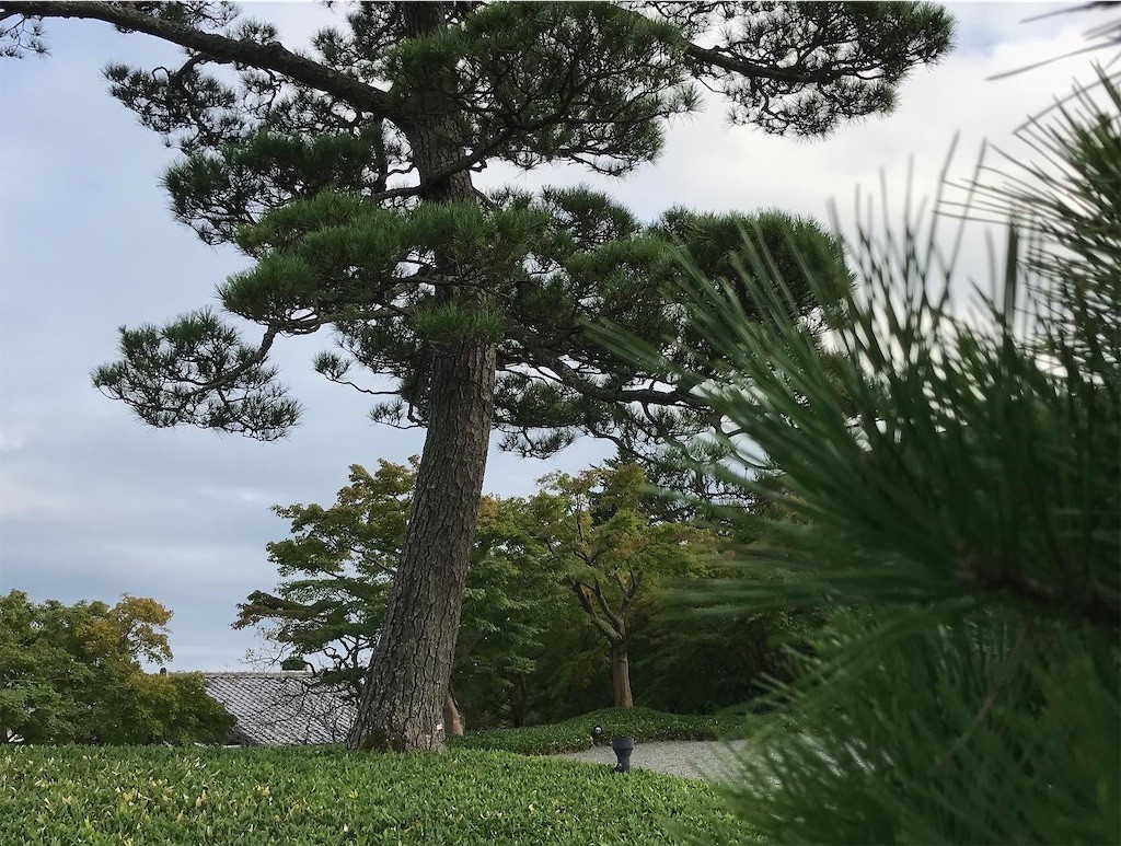 f:id:andy-e49er:20221015231957j:image f:id:andy-e49er:20221015231957j:image