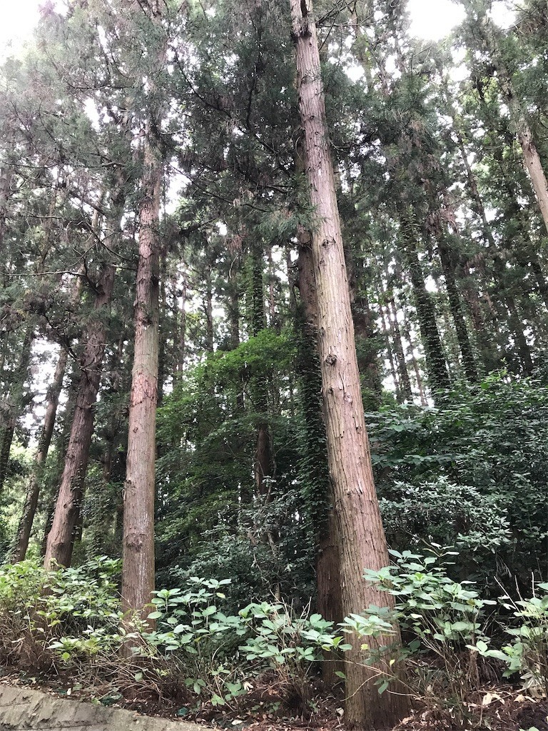 f:id:andy-e49er:20221017221421j:image f:id:andy-e49er:20221017221421j:image