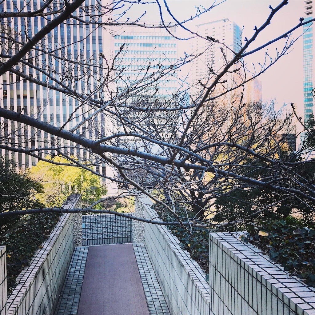 f:id:andy-e49er:20230228213356j:image