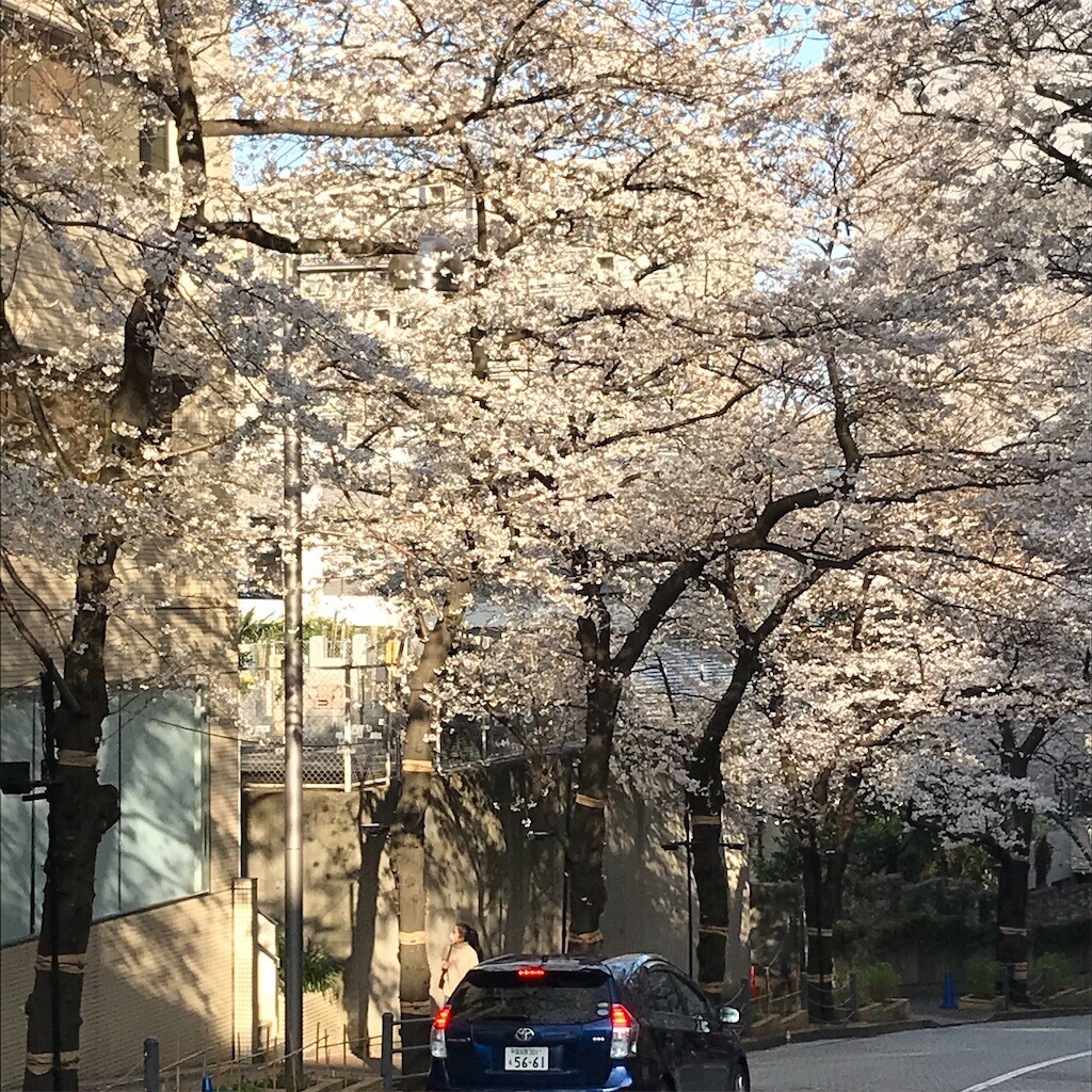 f:id:andy-e49er:20230322184415j:image f:id:andy-e49er:20230322184415j:image