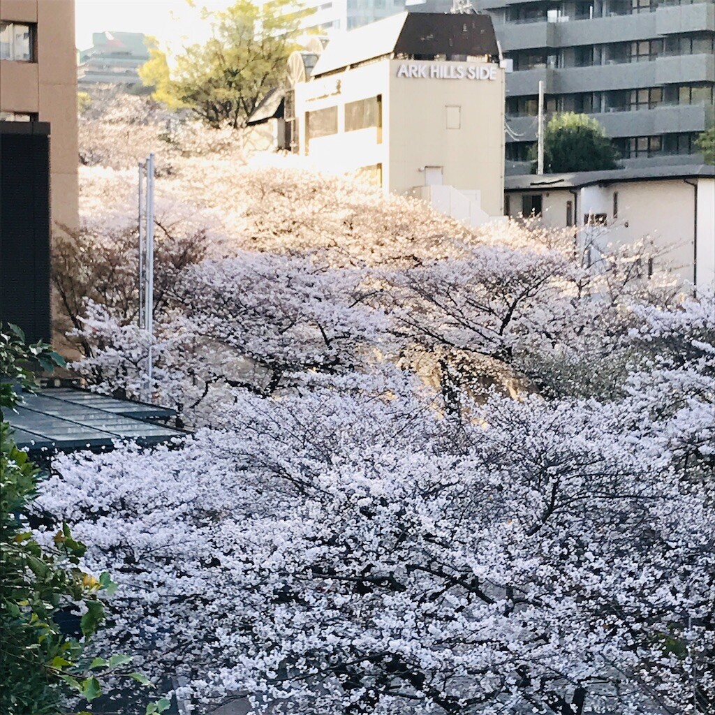 f:id:andy-e49er:20230322184503j:image f:id:andy-e49er:20230322184503j:image