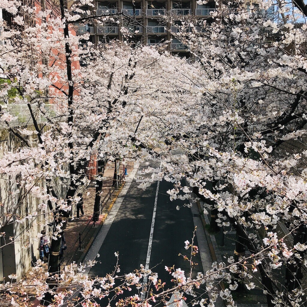 f:id:andy-e49er:20230322184607j:image f:id:andy-e49er:20230322184607j:image