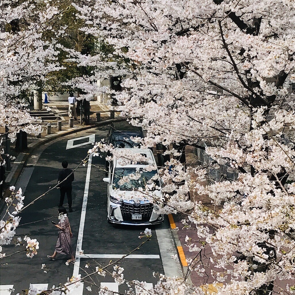 f:id:andy-e49er:20230322184618j:image f:id:andy-e49er:20230322184618j:image