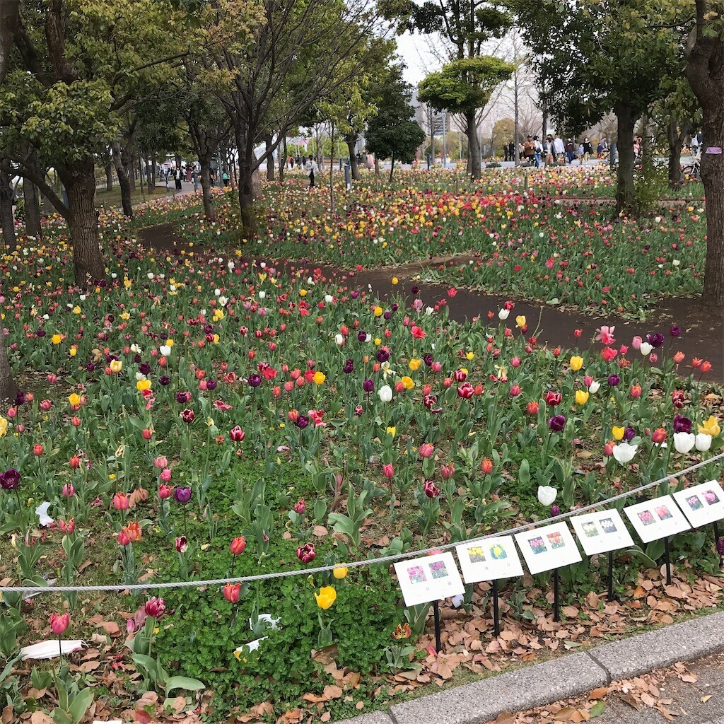 f:id:andy-e49er:20230403000545j:image f:id:andy-e49er:20230403000545j:image