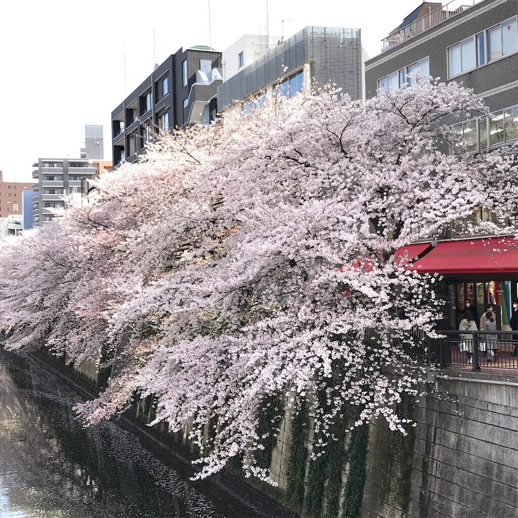 f:id:andy-e49er:20230408084903j:image