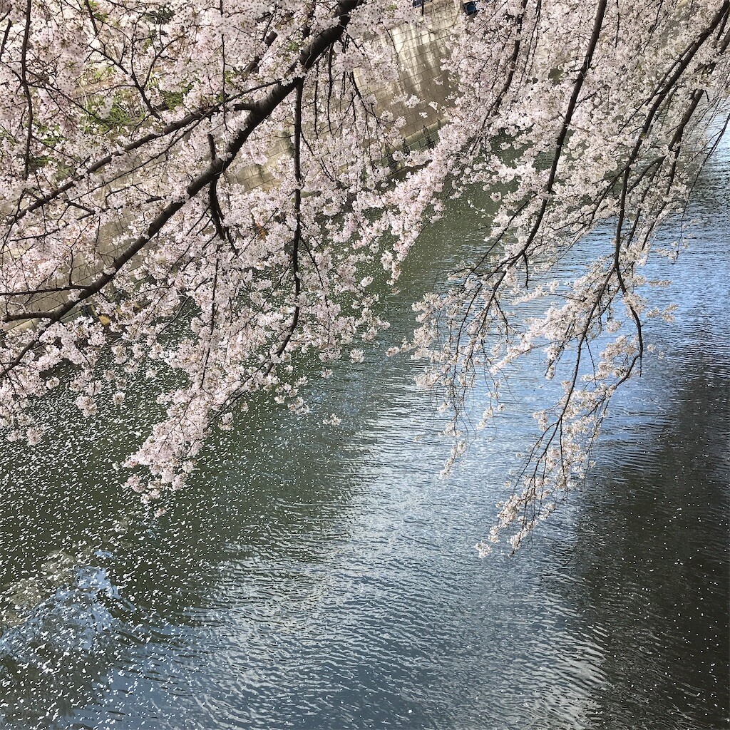 f:id:andy-e49er:20230417131939j:image f:id:andy-e49er:20230417131939j:image