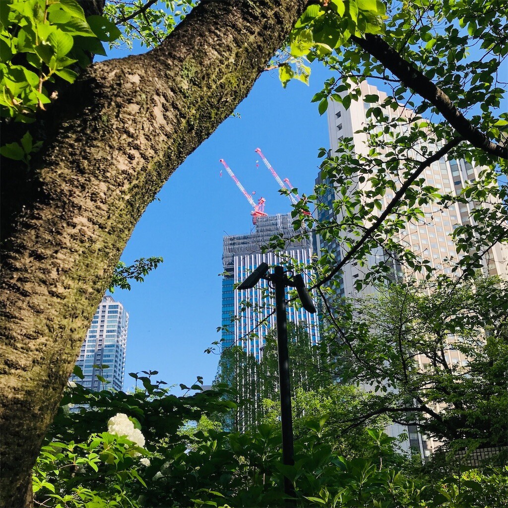 f:id:andy-e49er:20230419135346j:image f:id:andy-e49er:20230419135346j:image