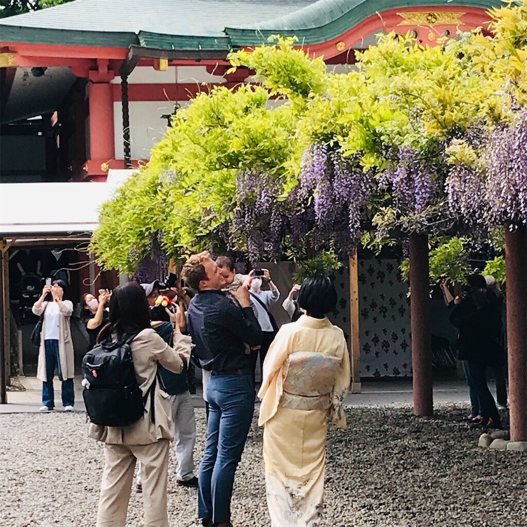 f:id:andy-e49er:20230419135552j:image f:id:andy-e49er:20230419135552j:image