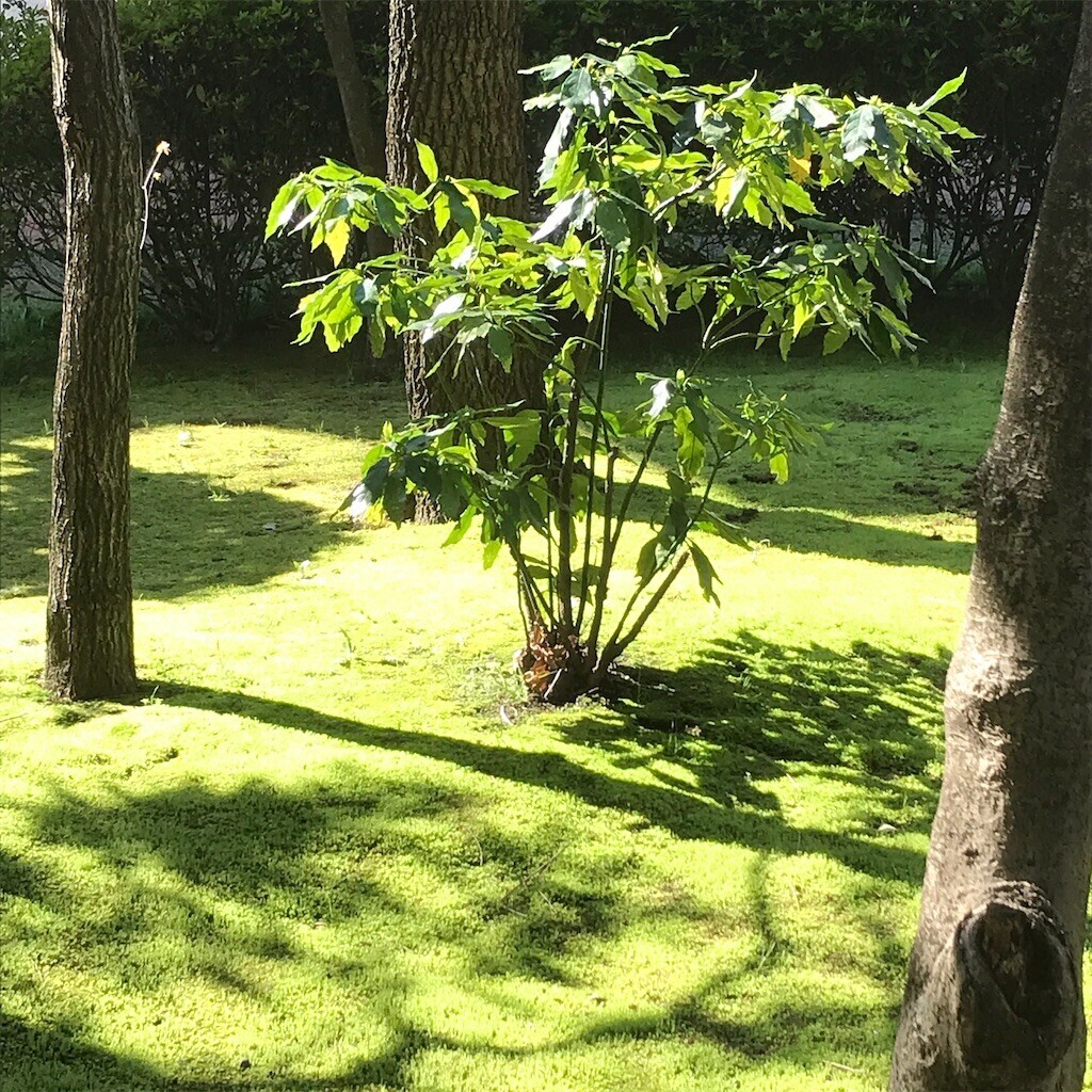 f:id:andy-e49er:20231130203956j:image f:id:andy-e49er:20231130203956j:image