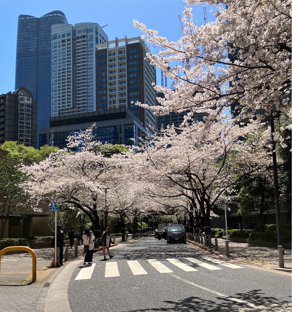f:id:andy-e49er:20240410190332j:image