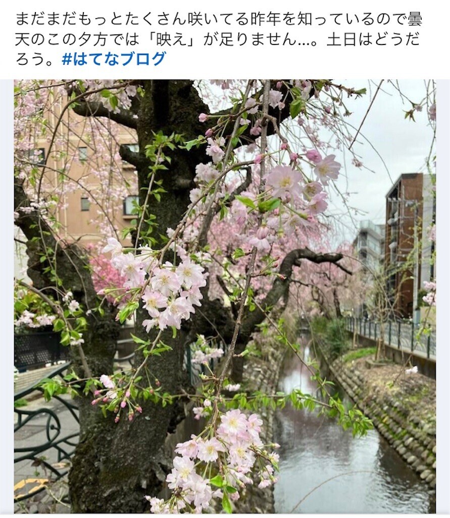 f:id:andy-e49er:20240414081644j:image f:id:andy-e49er:20240414081644j:image