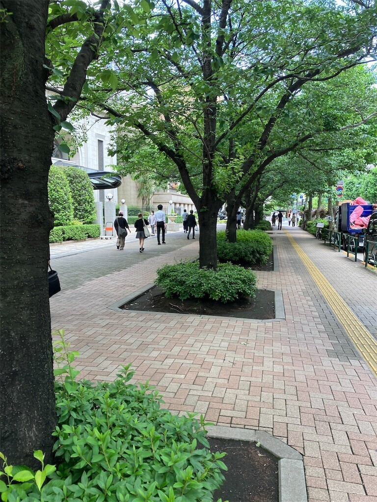 f:id:andy-e49er:20240606162934j:image