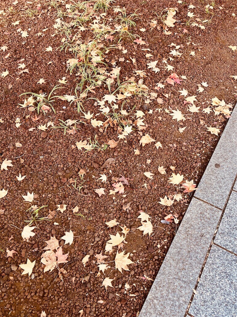 f:id:andy-e49er:20241109165757j:image f:id:andy-e49er:20241109165757j:image