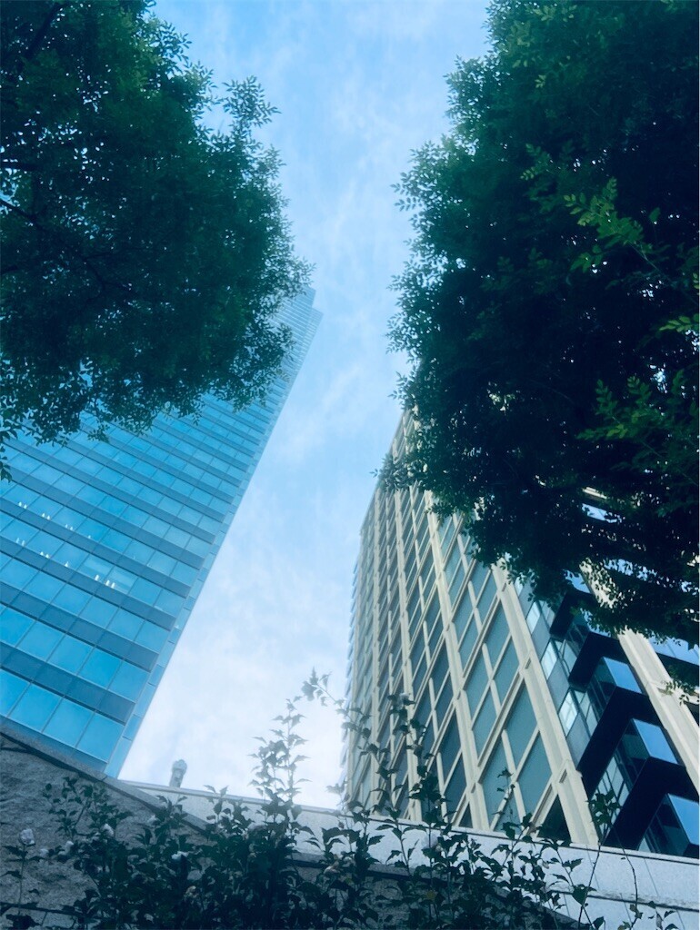 f:id:andy-e49er:20241110223642j:image