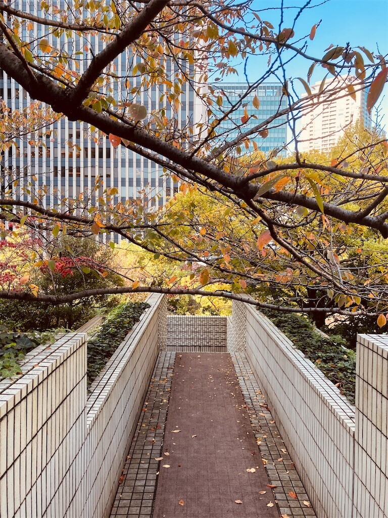 f:id:andy-e49er:20241113121405j:image f:id:andy-e49er:20241113121405j:image