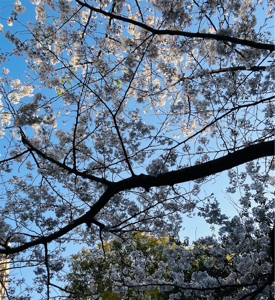 f:id:andy-e49er:20250404193311j:image