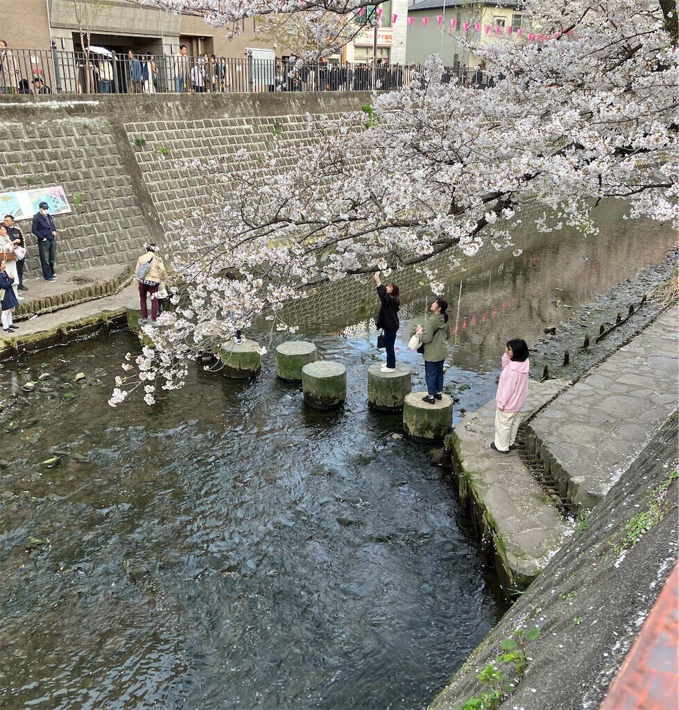 f:id:andy-e49er:20250405165612j:image
