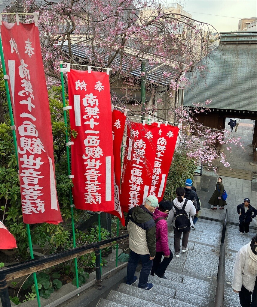 f:id:andy-e49er:20250405185232j:image