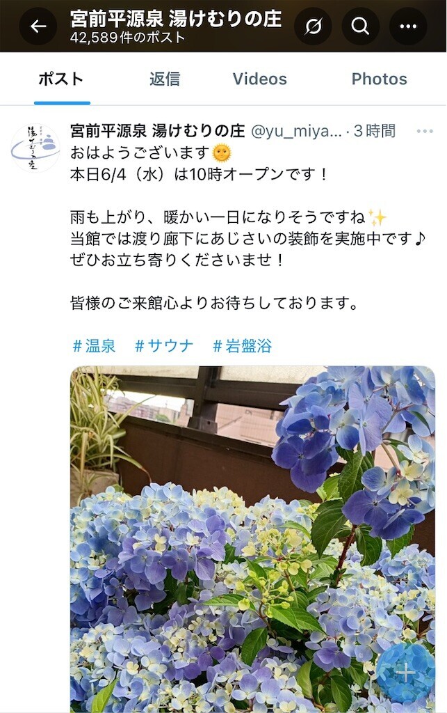 f:id:andy-e49er:20250604112246j:image