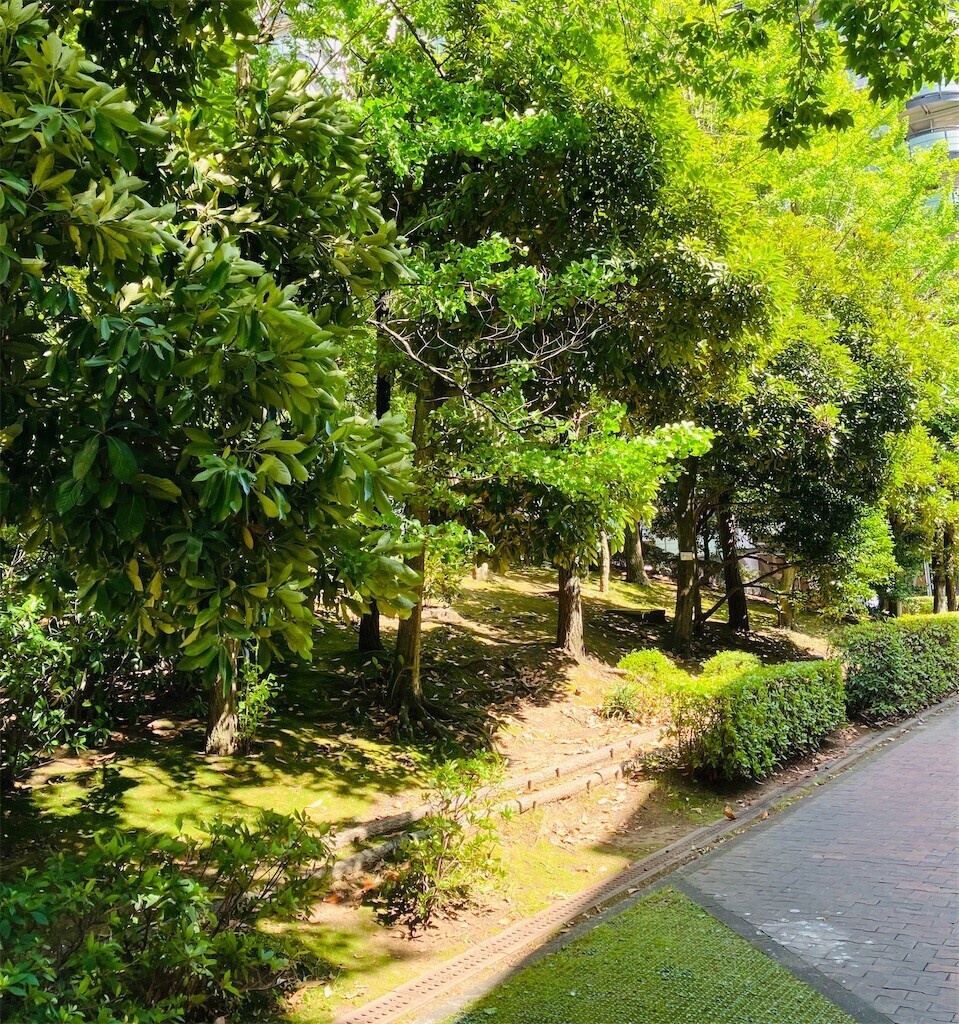 f:id:andy-e49er:20250621215921j:image