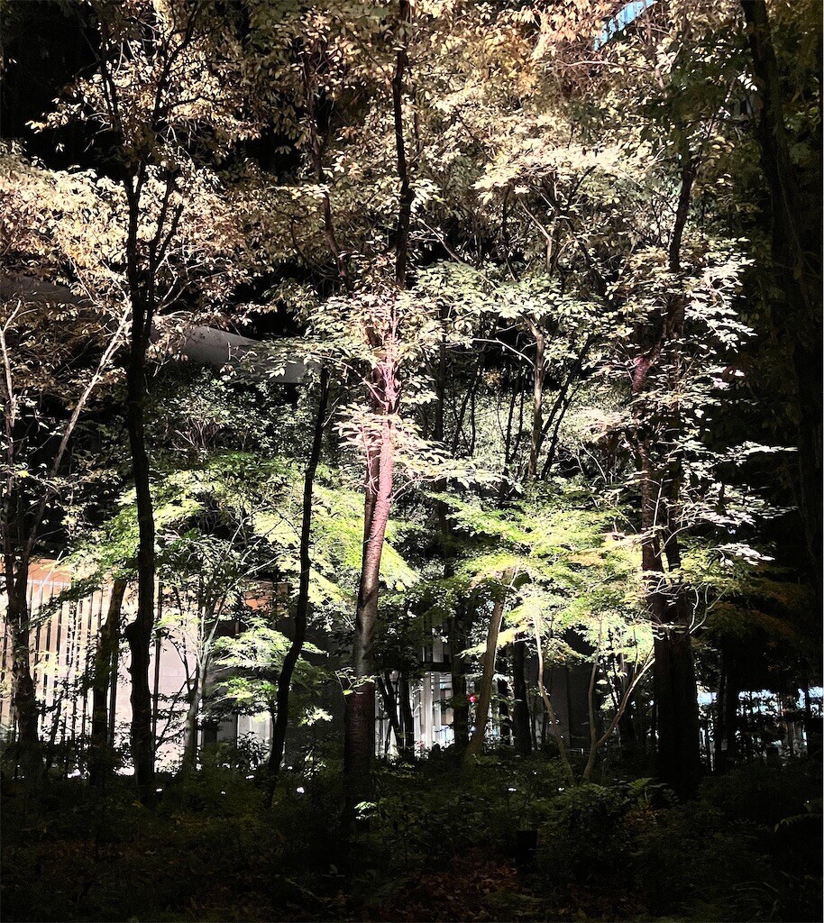 f:id:andy-e49er:20251206235242j:image