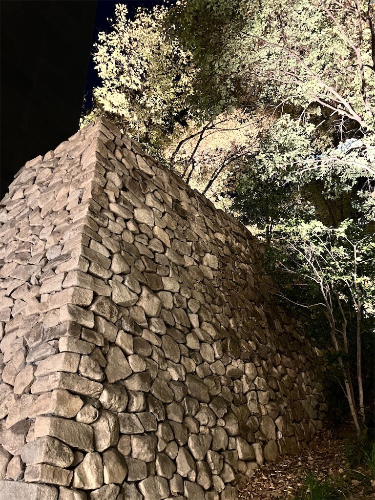 f:id:andy-e49er:20251206235256j:image
