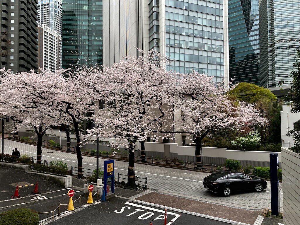 f:id:andy-e49er:20260401192652j:image