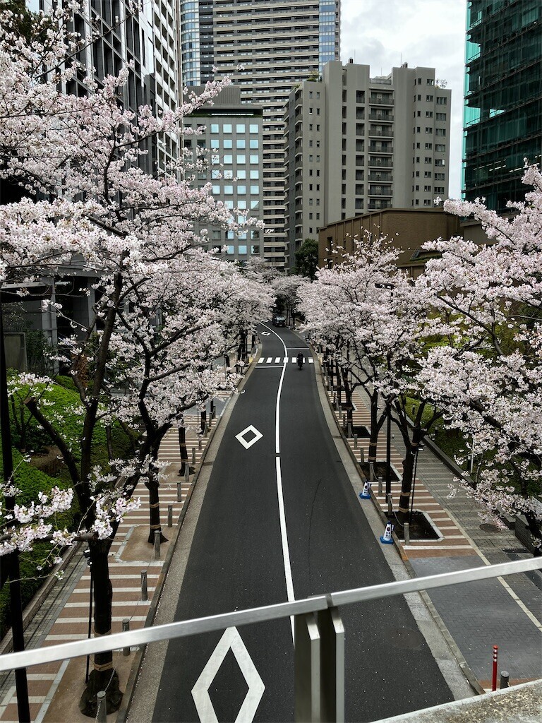 f:id:andy-e49er:20260401192711j:image