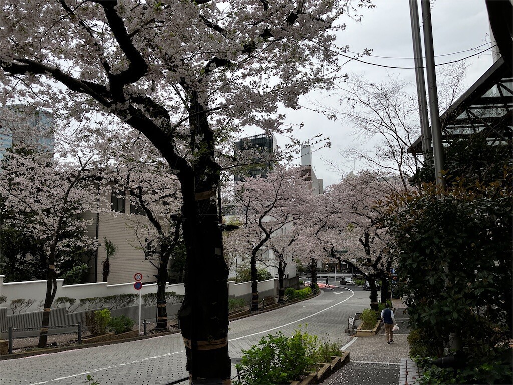 f:id:andy-e49er:20260401192722j:image