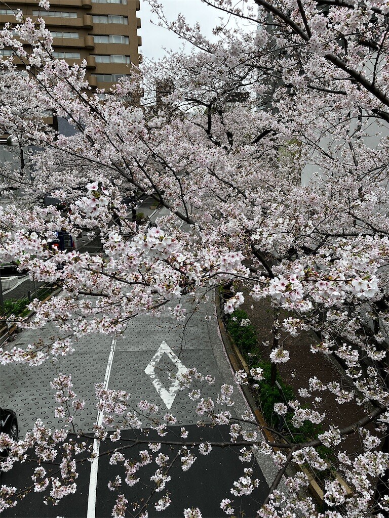 f:id:andy-e49er:20260401192726j:image