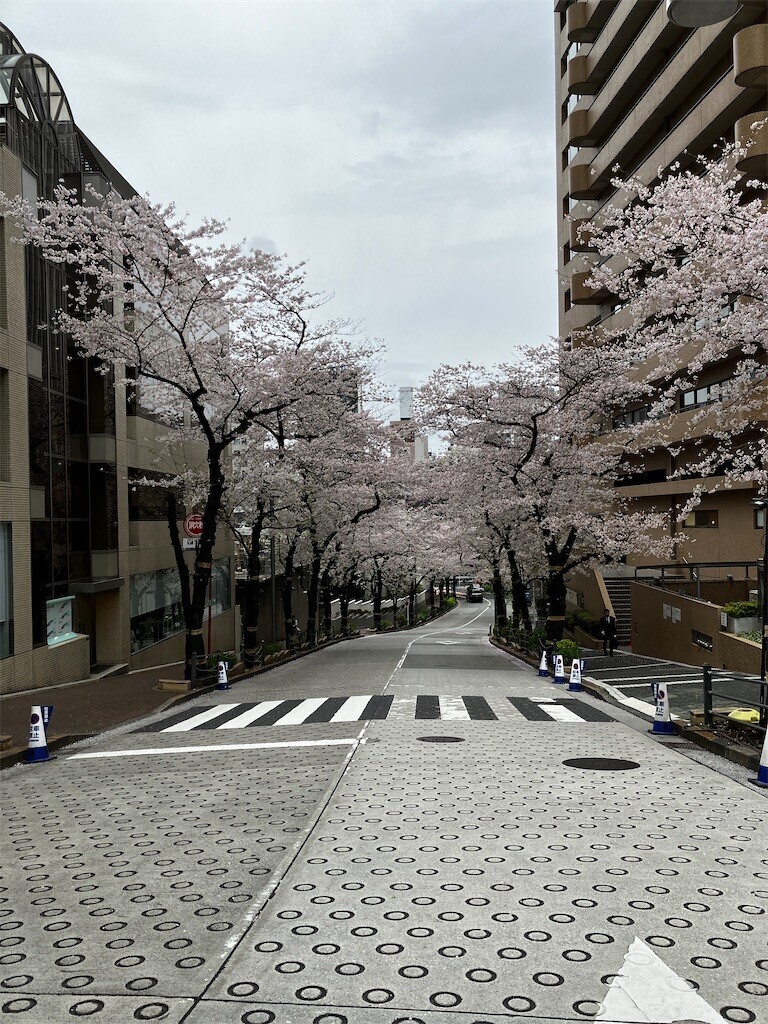 f:id:andy-e49er:20260401192741j:image