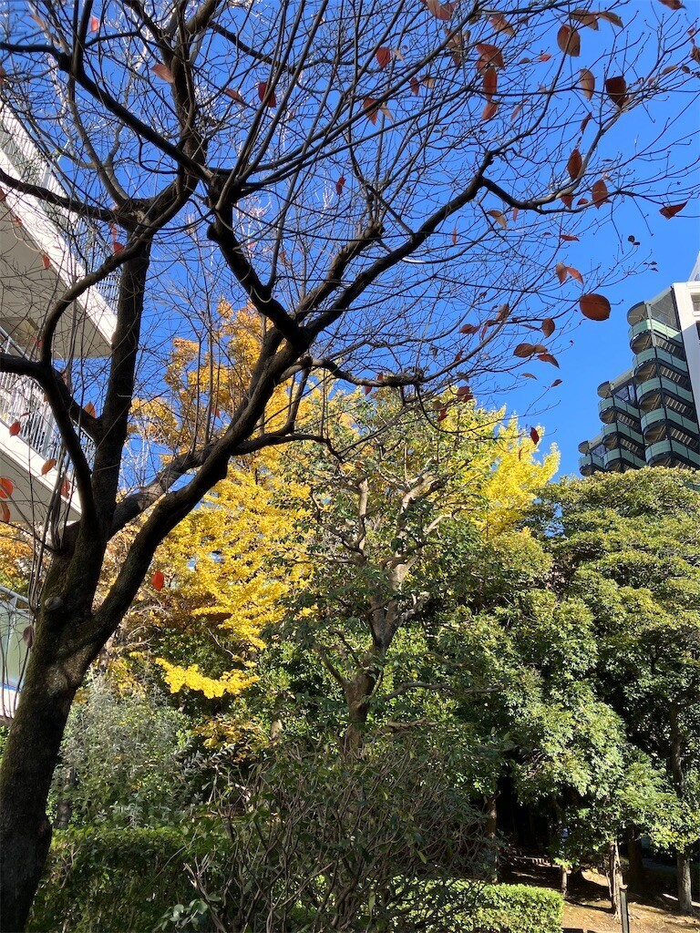 f:id:andy-e49er:20260426092815j:image