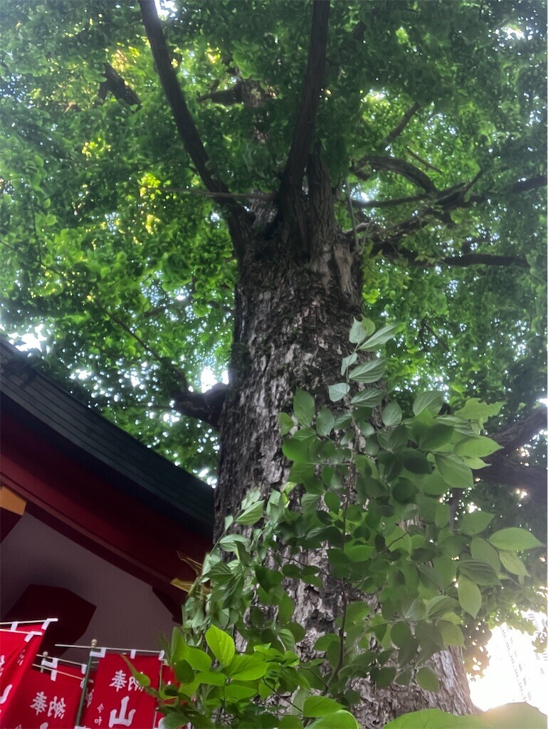 f:id:andy-e49er:20260428222112j:image