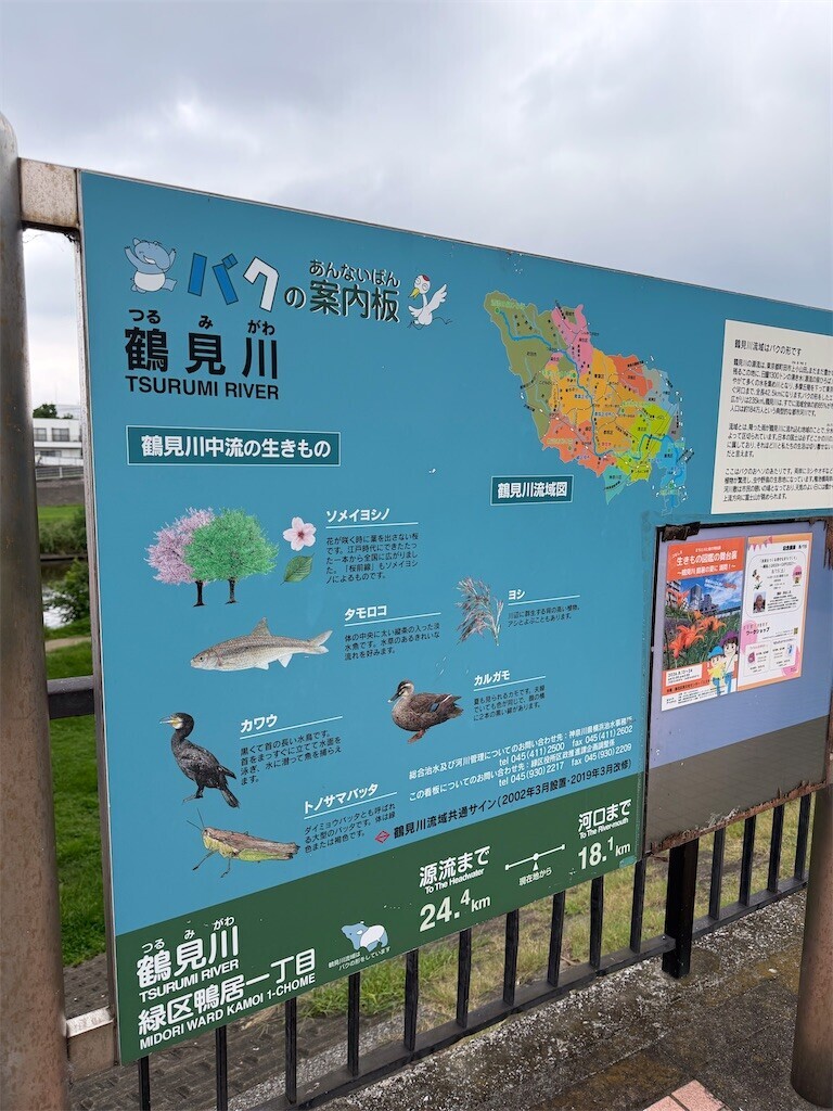 f:id:andy-e49er:20260823213708j:image
