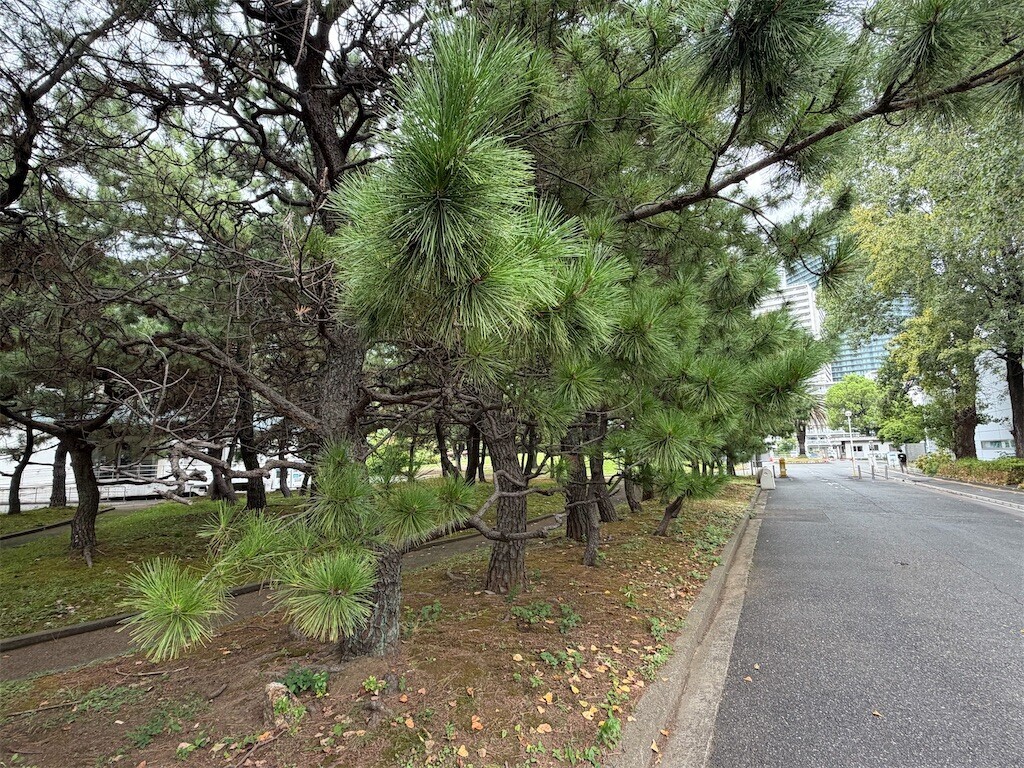 f:id:andy-e49er:20260831181633j:image