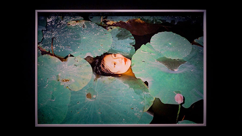 レン・ハン写真展「LOVE, REN HANG」／身を覆い隠すいちぢくの葉を