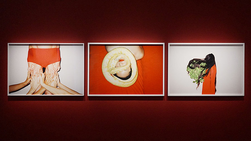 レン・ハン写真展「LOVE, REN HANG」／身を覆い隠すいちぢくの葉を